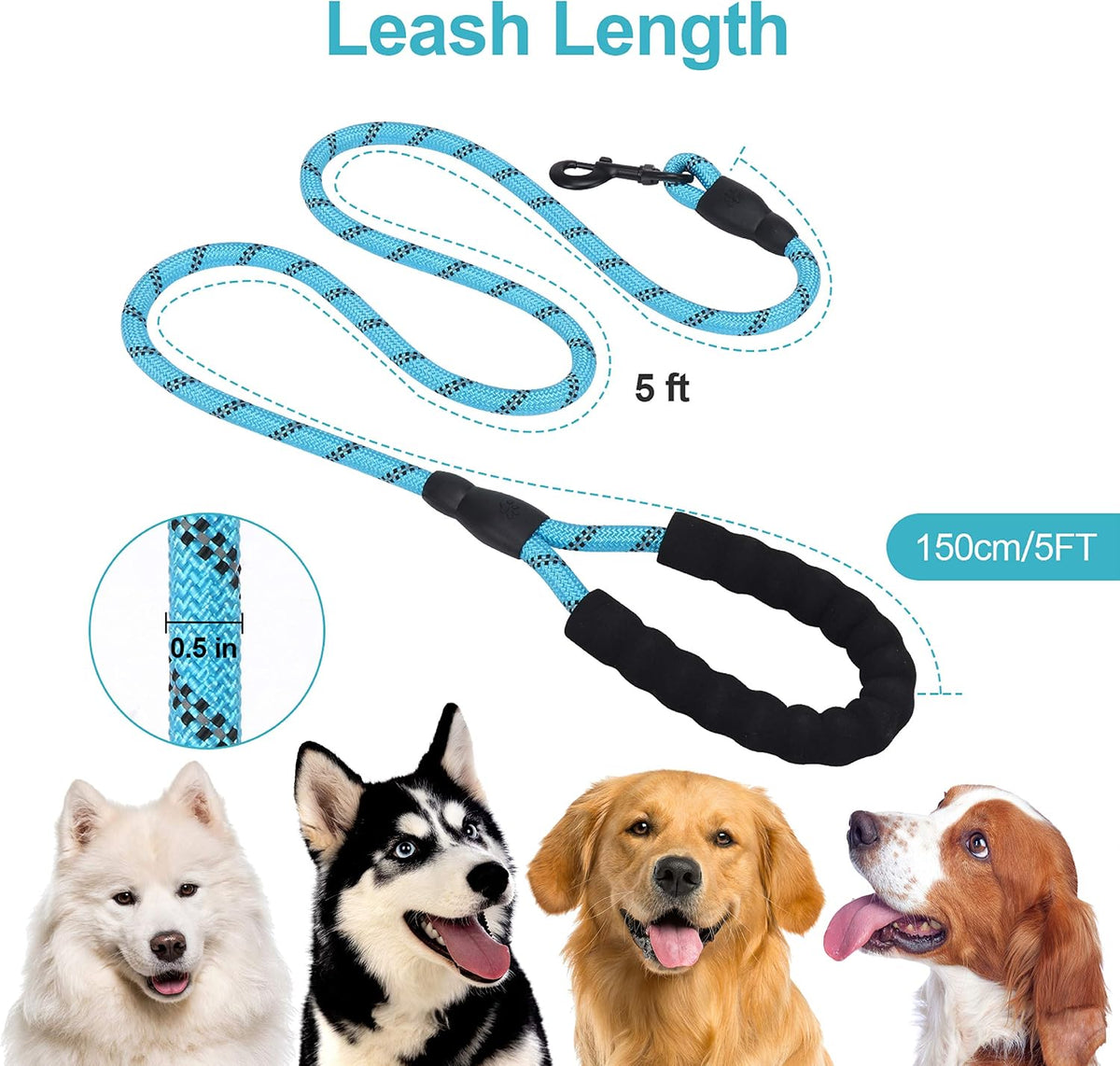 Leash measurements: 5 ft long and 1/2 inch thick