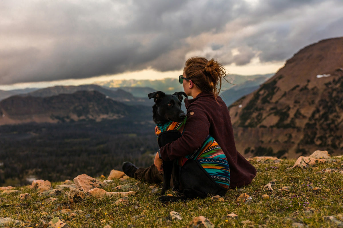 Person sitting beside their dog on a mountain trail