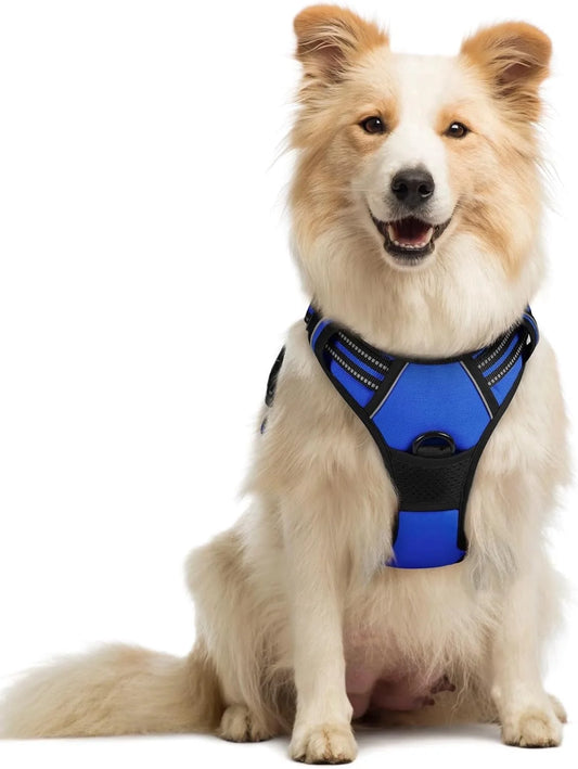 Trotzee no-pull dog harness in navy blue, seen from the front