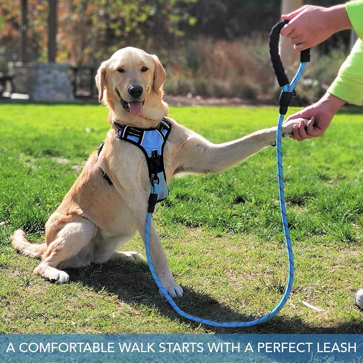 Golden retriever sitting on grass while its owner holds the Trotzee rope leash