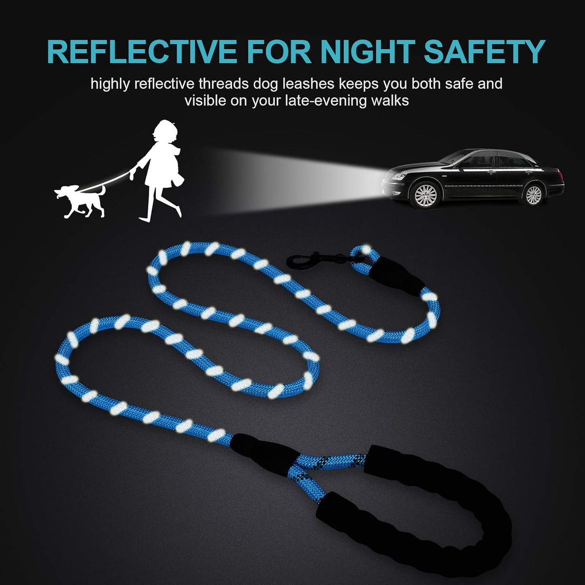 The reflective threads of the leash lit by car headlights on a night walk